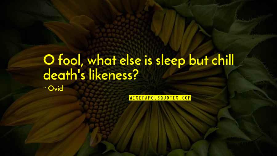 Cheza Bet Quotes By Ovid: O fool, what else is sleep but chill