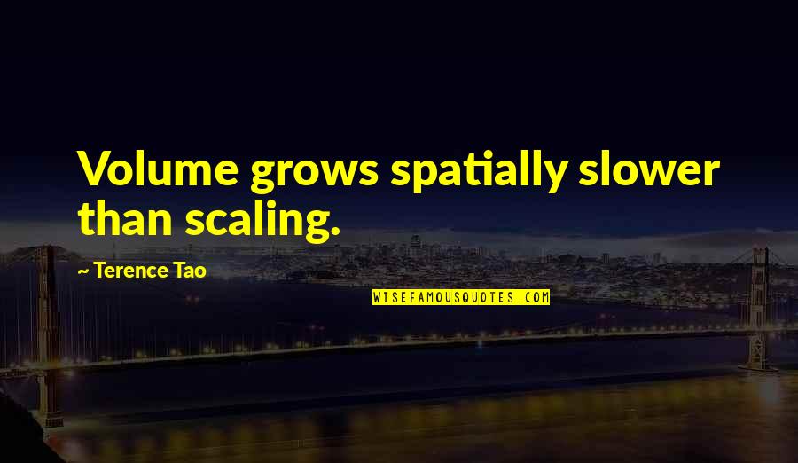 Chhetry And Associates Quotes By Terence Tao: Volume grows spatially slower than scaling.