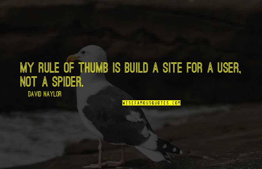 Chi Crede Di Essere Da Solo Contro Tutti Quotes By David Naylor: My rule of thumb is build a site