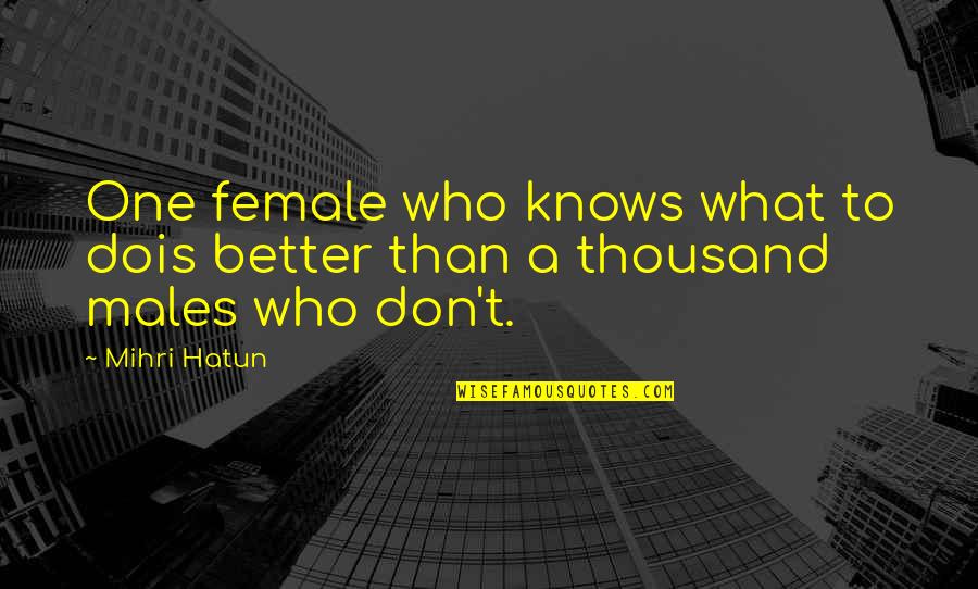 Chialstar Quotes By Mihri Hatun: One female who knows what to dois better