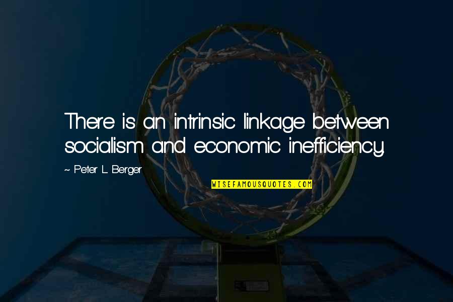 Chiamaka Iheme Quotes By Peter L. Berger: There is an intrinsic linkage between socialism and
