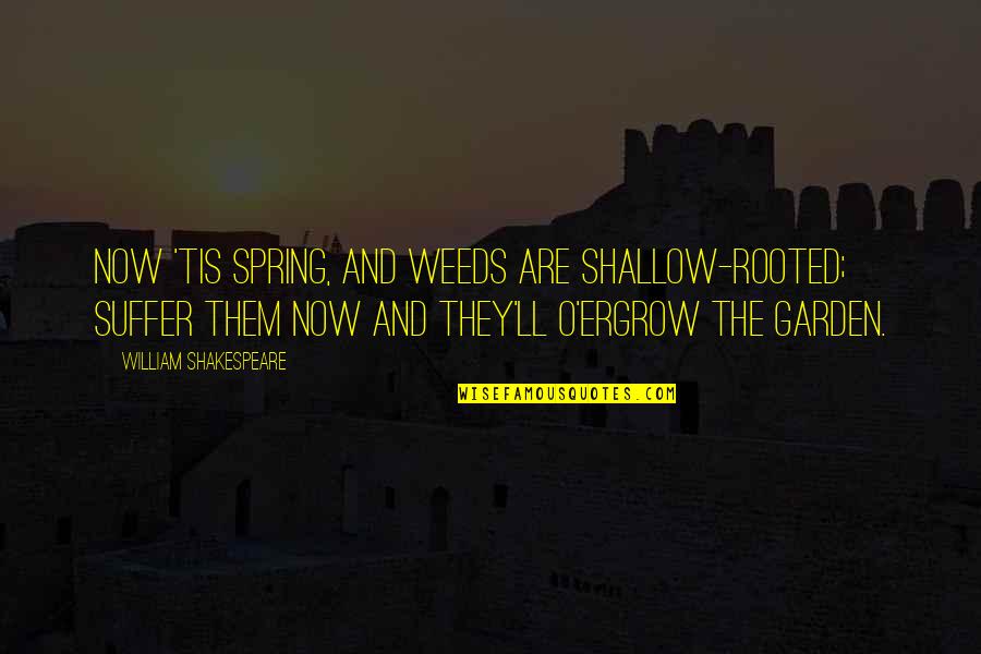 Chiamata Quotes By William Shakespeare: Now 'tis spring, and weeds are shallow-rooted; Suffer