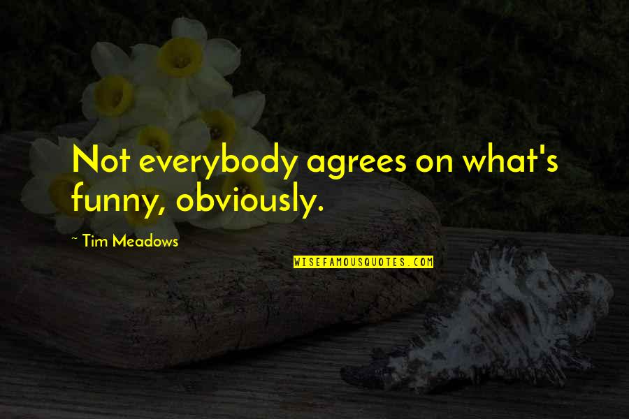 Chiarella S Quotes By Tim Meadows: Not everybody agrees on what's funny, obviously.