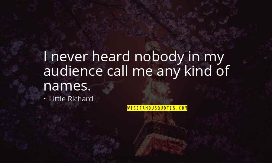 Chibisov Andrei Quotes By Little Richard: I never heard nobody in my audience call