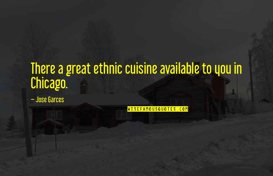 Chicago Quotes By Jose Garces: There a great ethnic cuisine available to you