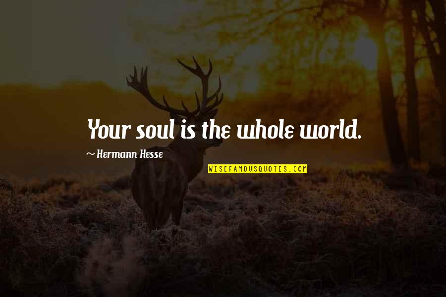 Chicatanas De Mexico Quotes By Hermann Hesse: Your soul is the whole world.