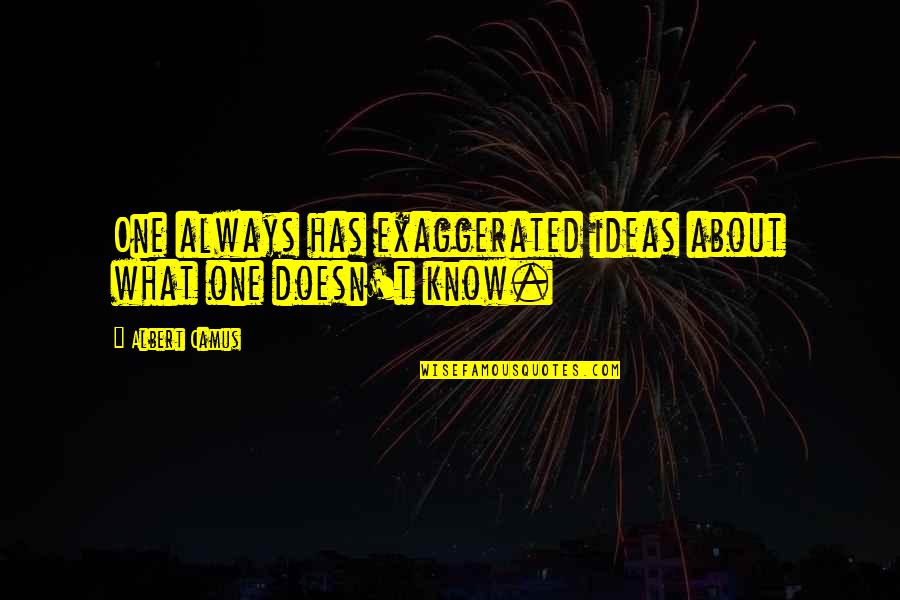 Chicken Broth Quotes By Albert Camus: One always has exaggerated ideas about what one