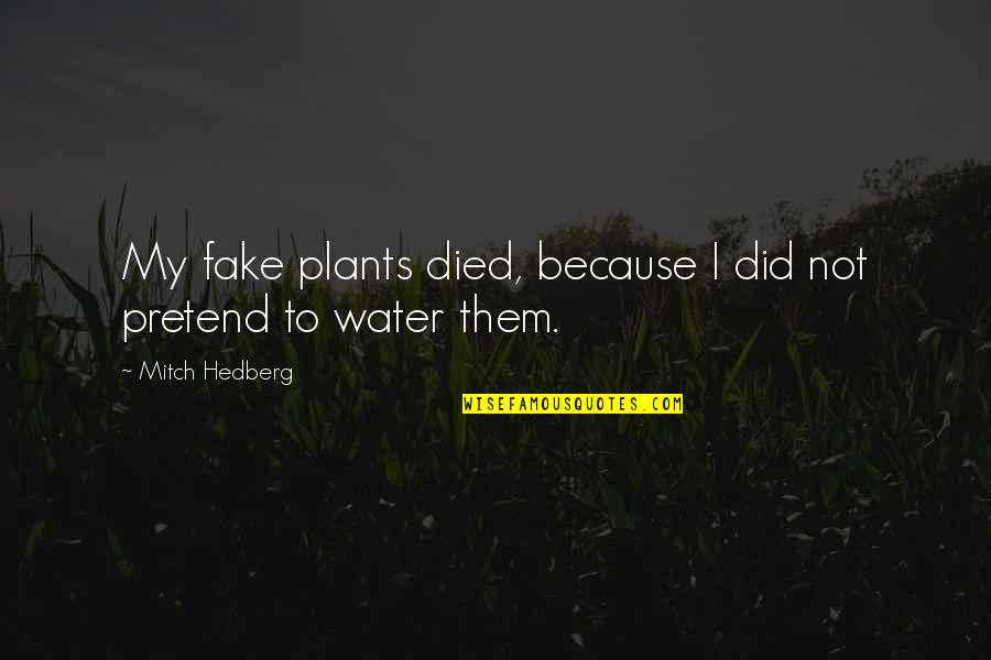 Chicken Coop Quotes By Mitch Hedberg: My fake plants died, because I did not