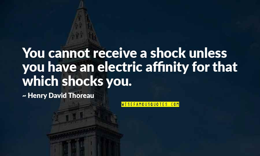 Chicken Creek Quotes By Henry David Thoreau: You cannot receive a shock unless you have