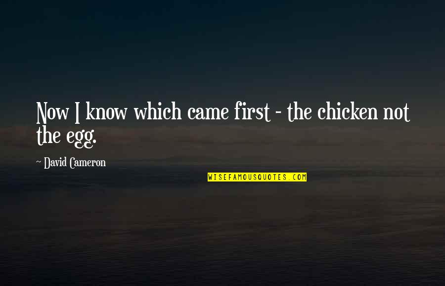 Chicken Egg Quotes By David Cameron: Now I know which came first - the