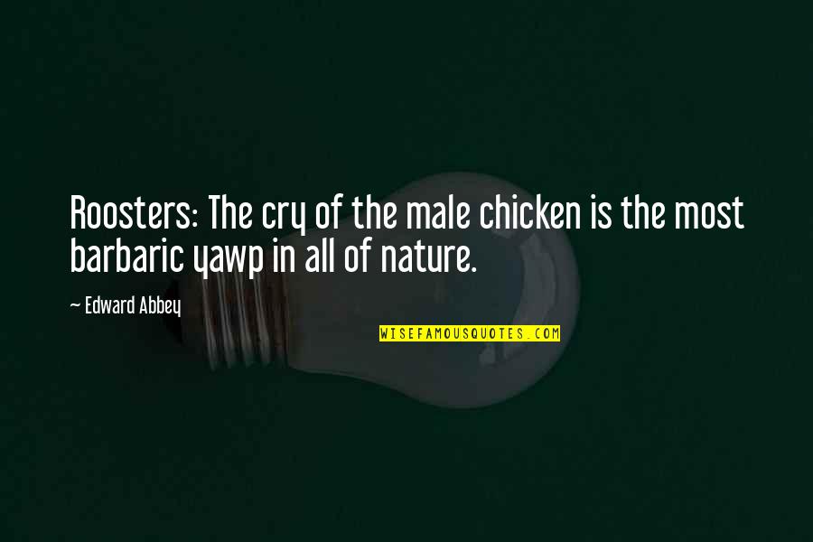 Chicken Quotes By Edward Abbey: Roosters: The cry of the male chicken is