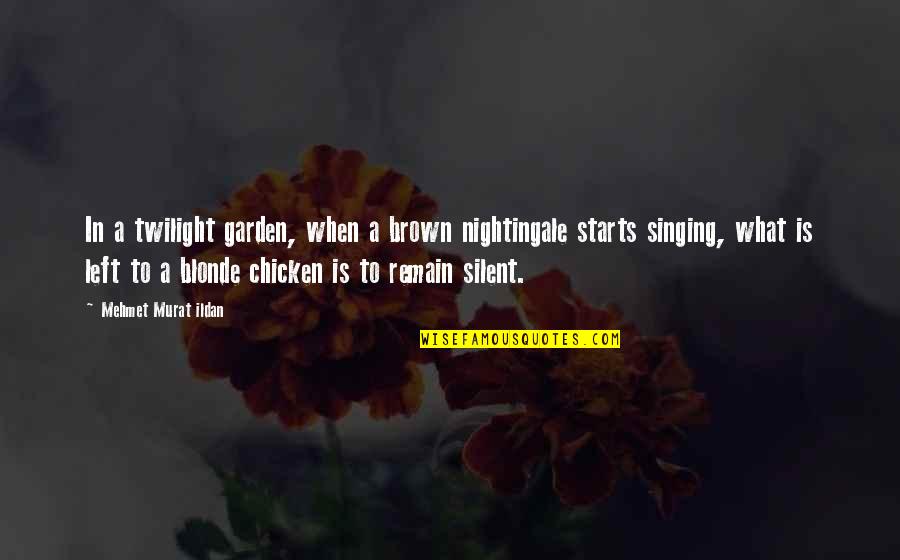 Chicken Quotes By Mehmet Murat Ildan: In a twilight garden, when a brown nightingale