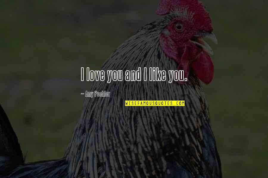 Chicken Soup For Mother's Soul Quotes By Amy Poehler: I love you and I like you.