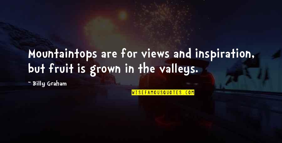 Chickity Chicken Quotes By Billy Graham: Mountaintops are for views and inspiration, but fruit