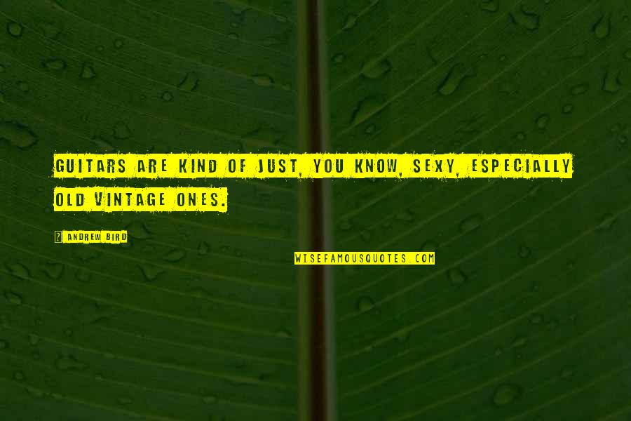 Chicotte Whip Quotes By Andrew Bird: Guitars are kind of just, you know, sexy,