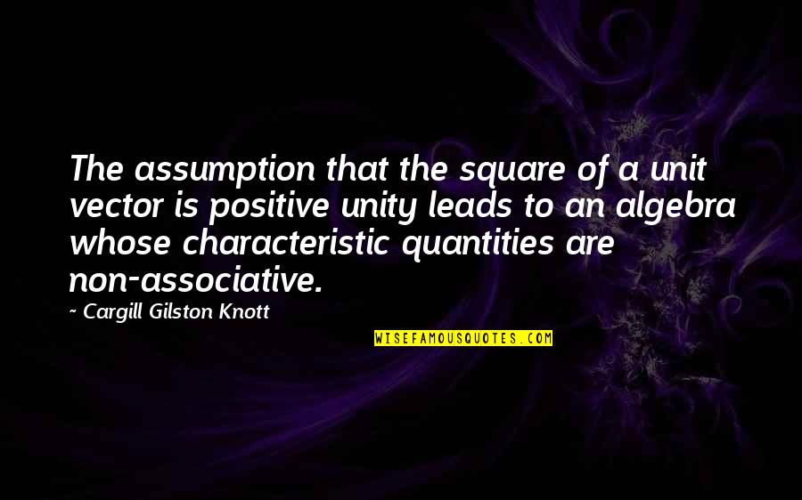 Chicoye Quotes By Cargill Gilston Knott: The assumption that the square of a unit