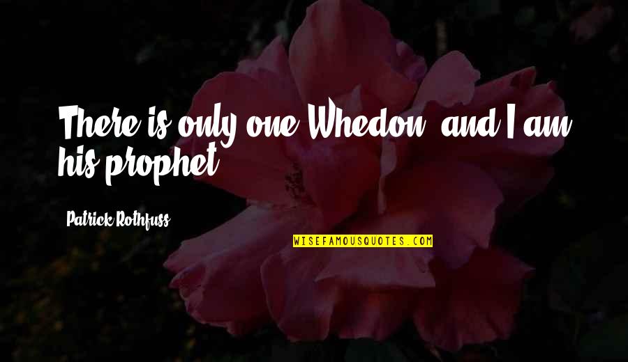 Chidanand Saraswati Quotes By Patrick Rothfuss: There is only one Whedon, and I am