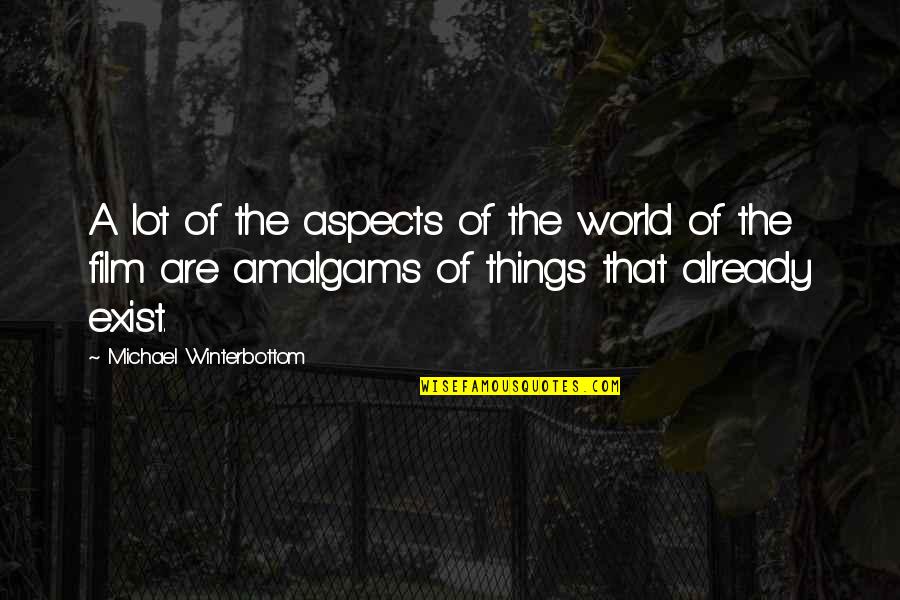 Chiebuka Lebechi Quotes By Michael Winterbottom: A lot of the aspects of the world Chiebuka Lebechi Quotes By Michael Winterbottom: A lot of the aspects of the world