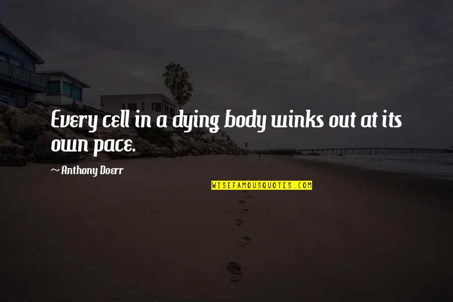 Chief Dakota Quotes By Anthony Doerr: Every cell in a dying body winks out
