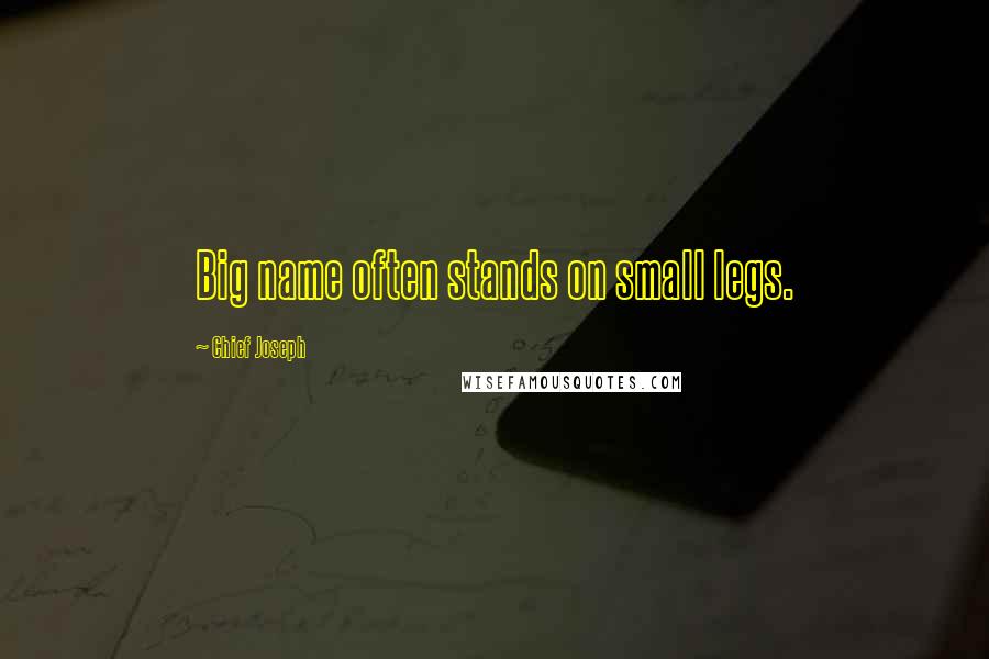 Chief Joseph quotes: Big name often stands on small legs.