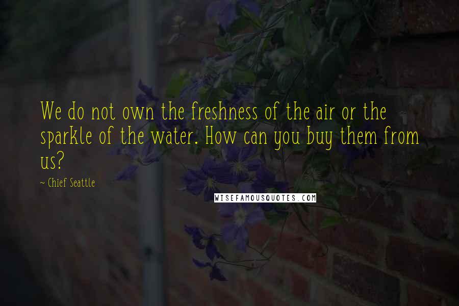 Chief Seattle quotes: We do not own the freshness of the air or the sparkle of the water. How can you buy them from us?