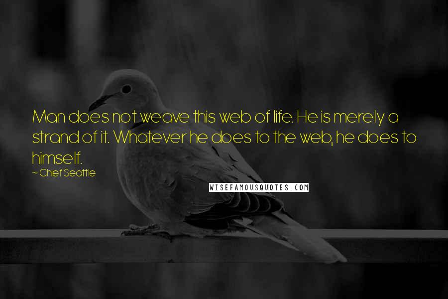 Chief Seattle quotes: Man does not weave this web of life. He is merely a strand of it. Whatever he does to the web, he does to himself.