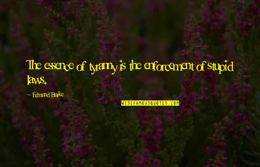 Chief Si'ahl Quotes By Edmund Burke: The essence of tyranny is the enforcement of