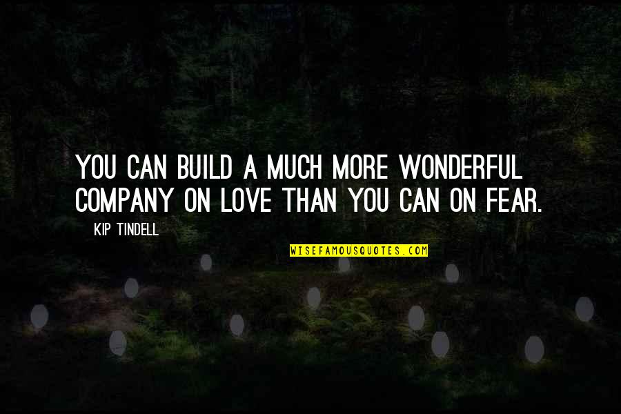 Chief Tecumseh Quotes By Kip Tindell: You can build a much more wonderful company