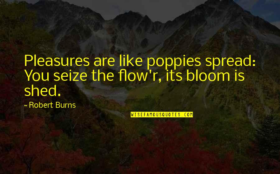 Chief Yellow Lark Quotes By Robert Burns: Pleasures are like poppies spread: You seize the