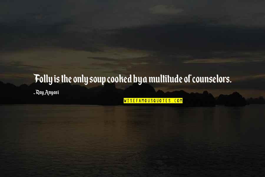 Chiemgauer Quotes By Ray Anyasi: Folly is the only soup cooked by a