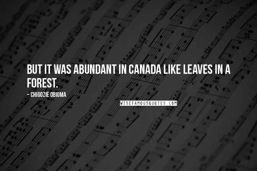 Chigozie Obioma quotes: But it was abundant in Canada like leaves in a forest.