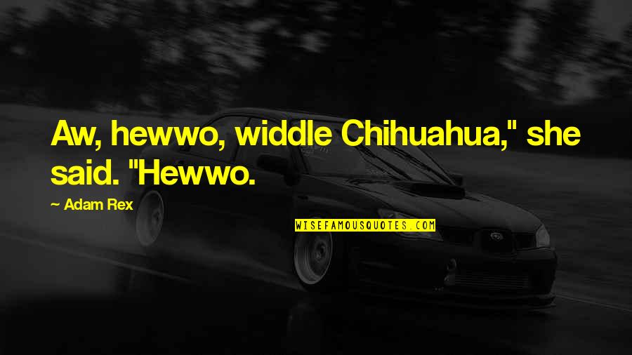 Chihuahua Quotes By Adam Rex: Aw, hewwo, widdle Chihuahua," she said. "Hewwo.
