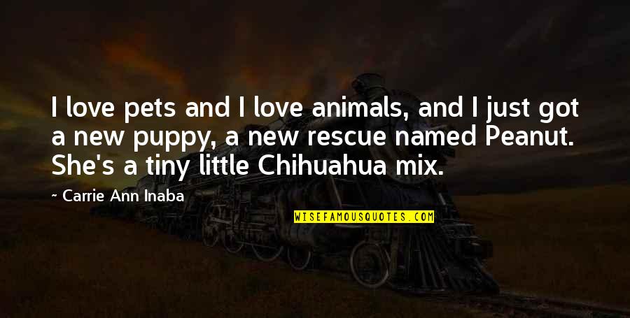 Chihuahua Quotes By Carrie Ann Inaba: I love pets and I love animals, and