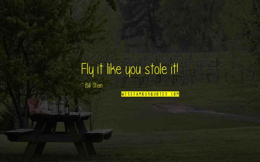 Chikungunya Quotes By Bill Stein: Fly it like you stole it!