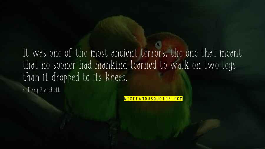 Chikusei Shi Quotes By Terry Pratchett: It was one of the most ancient terrors,