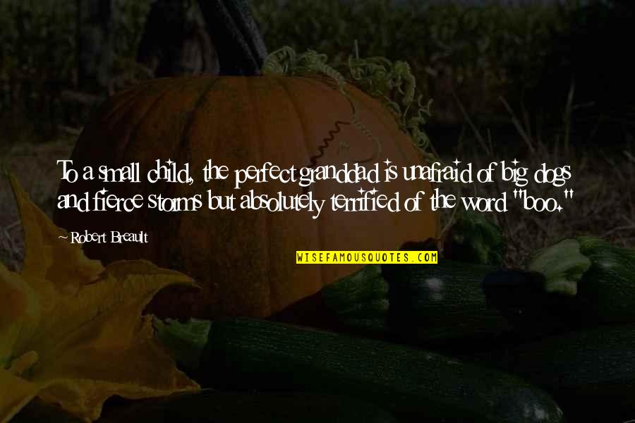 Child And Dog Quotes By Robert Breault: To a small child, the perfect granddad is