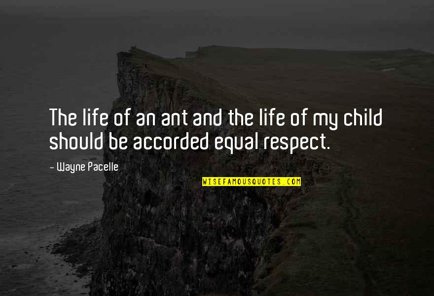 Child And Life Quotes By Wayne Pacelle: The life of an ant and the life