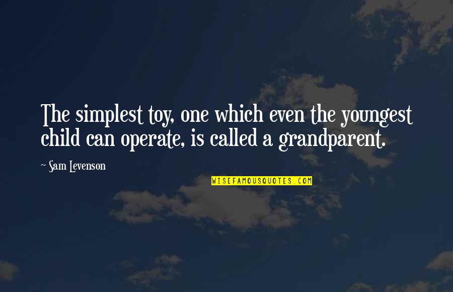 Child Called It Quotes By Sam Levenson: The simplest toy, one which even the youngest