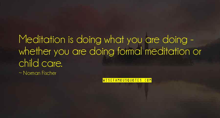 Child Care Quotes By Norman Fischer: Meditation is doing what you are doing -