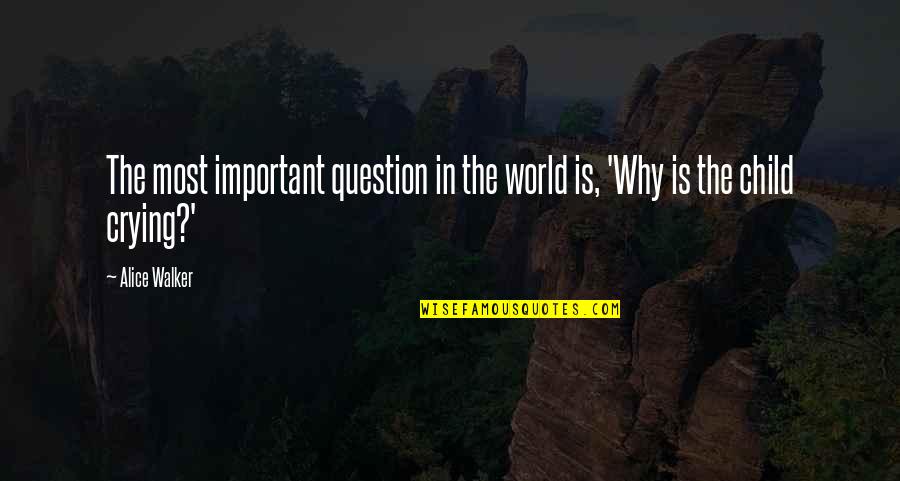 Child Crying Quotes By Alice Walker: The most important question in the world is,