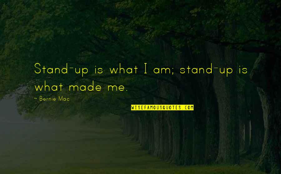 Child Development Quotes By Bernie Mac: Stand-up is what I am; stand-up is what