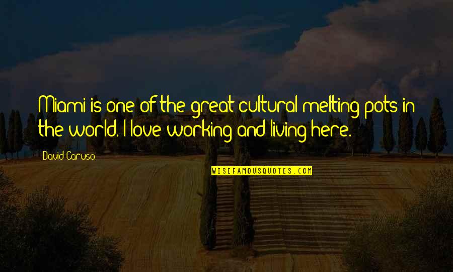 Child Disrespect Quotes By David Caruso: Miami is one of the great cultural melting