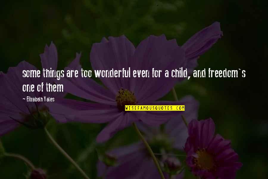 Child Freedom Quotes By Elizabeth Yates: some things are too wonderful even for a