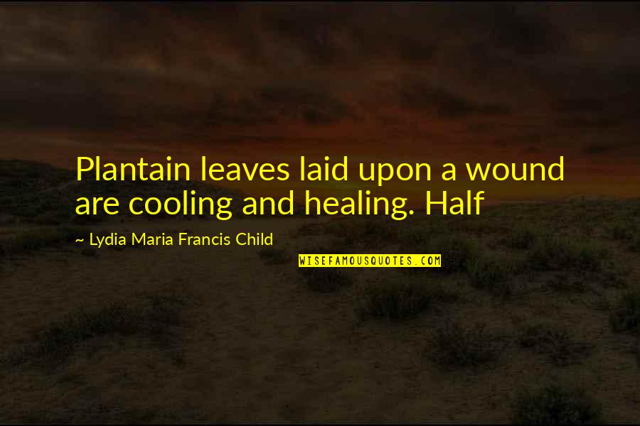Child Healing Quotes By Lydia Maria Francis Child: Plantain leaves laid upon a wound are cooling