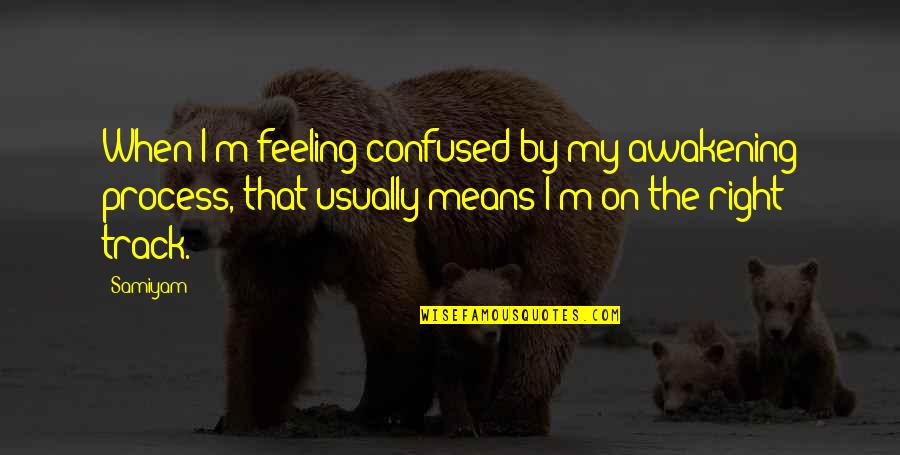 Child Imaginations Quotes By Samiyam: When I'm feeling confused by my awakening process,