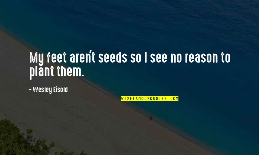 Child Loss Bible Quotes By Wesley Eisold: My feet aren't seeds so I see no
