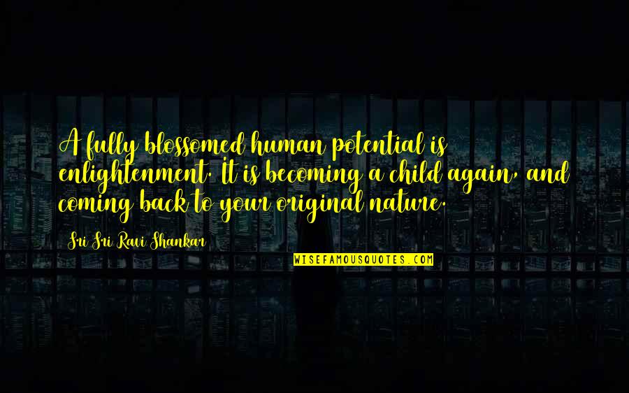 Child Potential Quotes By Sri Sri Ravi Shankar: A fully blossomed human potential is enlightenment. It Child Potential Quotes By Sri Sri Ravi Shankar: A fully blossomed human potential is enlightenment. It