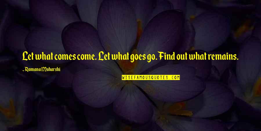Child Rearing Advice Quotes By Ramana Maharshi: Let what comes come. Let what goes go.