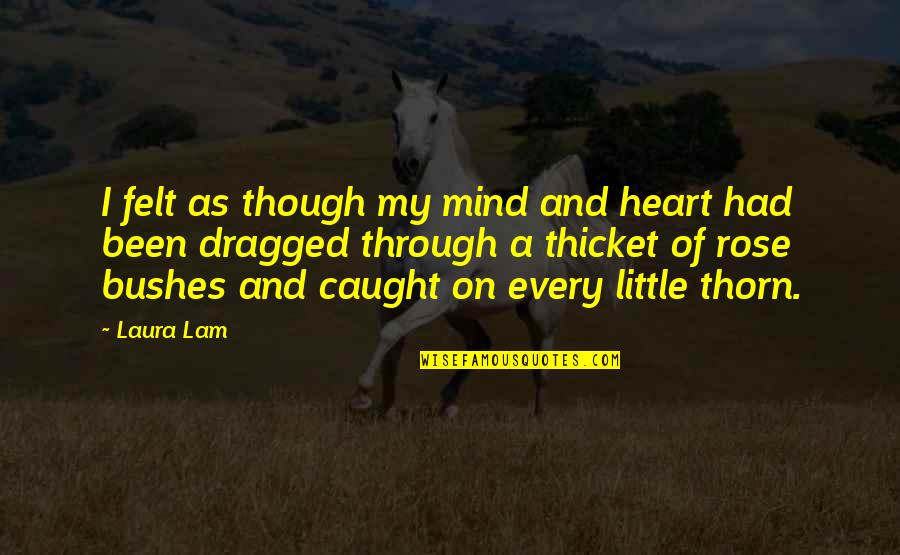 Childhood Friendships Ending Quotes By Laura Lam: I felt as though my mind and heart