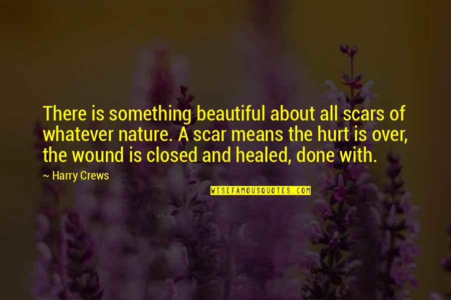 Childhood Growth Quotes By Harry Crews: There is something beautiful about all scars of